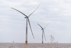  CNOOC looking to sharpen focus on offshore renewable energy ventures