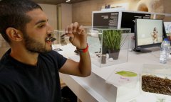  Israeli firm seeks to put locusts on the menu 