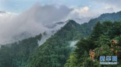 Forest tourism increases by 15 percent a year in China