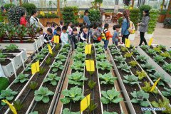 People visit modern agricultural industry park in Jiangsu