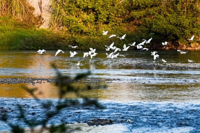 Bird banders devote themselves to study of migratory birds in E China’s Jiangxi