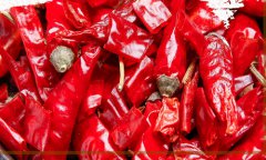  New book introduces history of chili peppers in China 