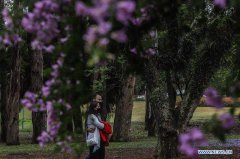 In pics: first day of spring in Sao Paulo, Brazil