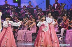 DPRK orchestra stages concert in the ROK before opening of Winter Olympics