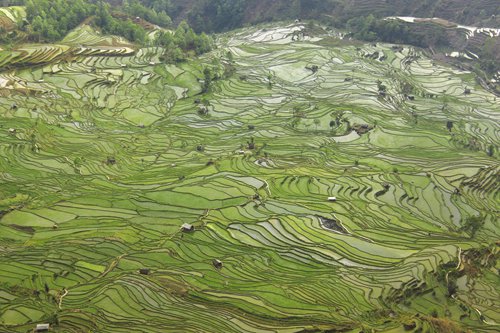  The people of Yuanyang as backbone of Yunnan’s environment 