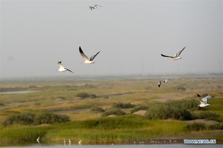 In pics: Taitema Lake in NE China