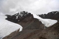 Xinjiang glacier reserve now a paradise for wildlife