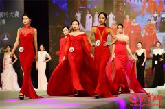 2017 ACIC International Occupation Model Guangdong Regional Final held in Guangzhou