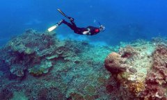  Science, tourism clash on Great Barrier Reef 