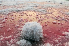  Ice ‘flowers’ blossom at ‘China’s Dead Sea’ 