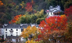  Photography tourism a new driver for rural revitalization in Anhui Province 