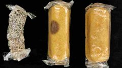 Debunking The Myth Of The Everlasting Twinkie 