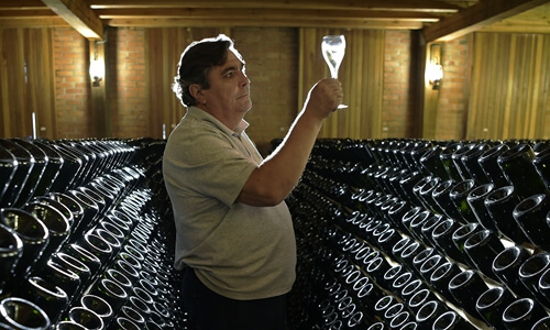  Brazil’s sparkling wine producers carve a growing niche 