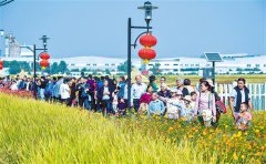 China’s rural tourism leads way in sector’s rebound despite COVID