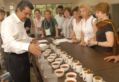  Rare Assam tea bags world record at auction in India, demonstrating growth in international demand for speciality teas 