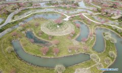 Plum blossoms in ecological garden in Shanghai