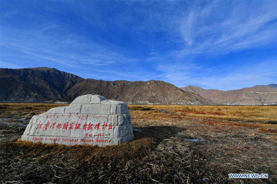 Scenery of Lhalu wetland in Lhasa, SW China