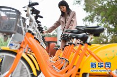 What is the driving force behind China's Q3 bike exports touching 25-year high?