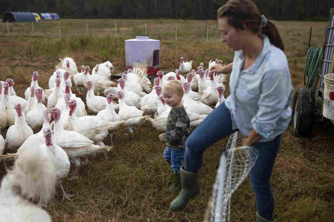 Thanksgiving Turkeys Are Smaller This Year As Americans Downsize Celebration 