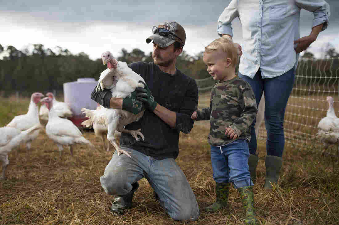 Thanksgiving Turkeys Are Smaller This Year As Americans Downsize Celebration 