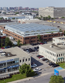  World’s biggest rooftop greenhouse opens in Montreal 