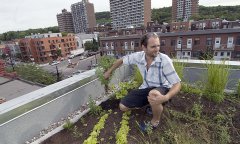  World’s biggest rooftop greenhouse opens in Montreal 