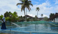  COVID-19 pandemic hit Indian resort turns swimming pool into fish farm 