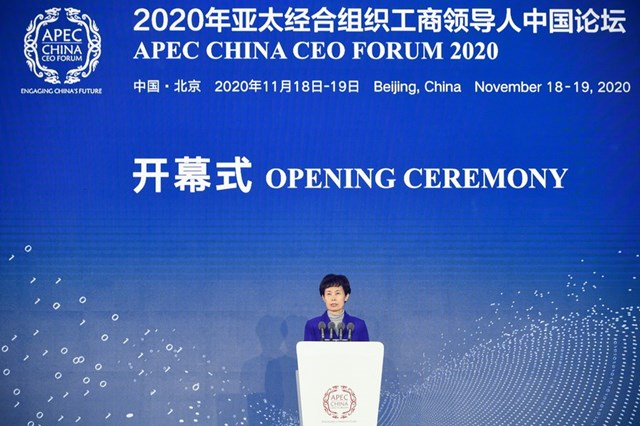  APEC forum focuses on digital economy in Asia-Pacific to boost post-pandemic inclusive growth