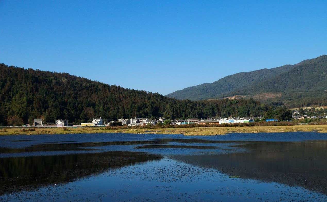 Feel the vibe of Beihai wetland in SW China