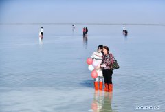 China's Qinghai sees over 32 million tourist arrivals from Jan. to Nov.