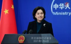  China, WHO discussing expert visit details