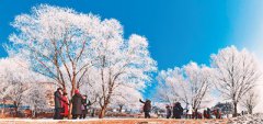 snow tourism revenue to exceed 390 billion yuan in 2021