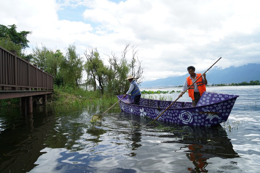 Plateau lakes regain luster as ecology prioritized