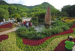 Green growth generates gold as Xi's iconic words on ecology put into practice