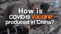 Inside China's CoronaVac COVID-19 vaccine facility