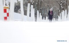 Snow hits Shenyang in NE China