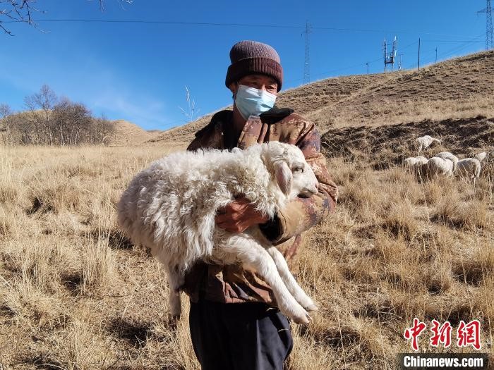 Embracing technology: How Internet transforms rural economy in China