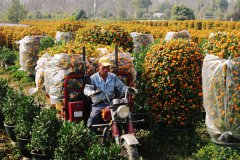  Going organic helps fruit business blossom