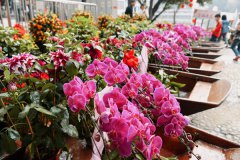  New methods blossom for flower sales in Guangzhou