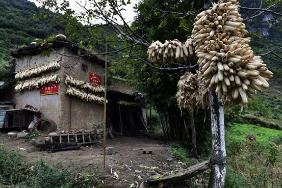 Cliff village in SW China