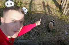 A British man's 'panda abundant' vacation in Shaanxi