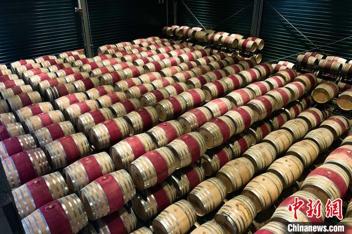 Wine of NW China