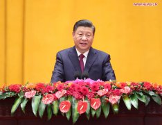 Xi extends Spring Festival greetings to all Chinese