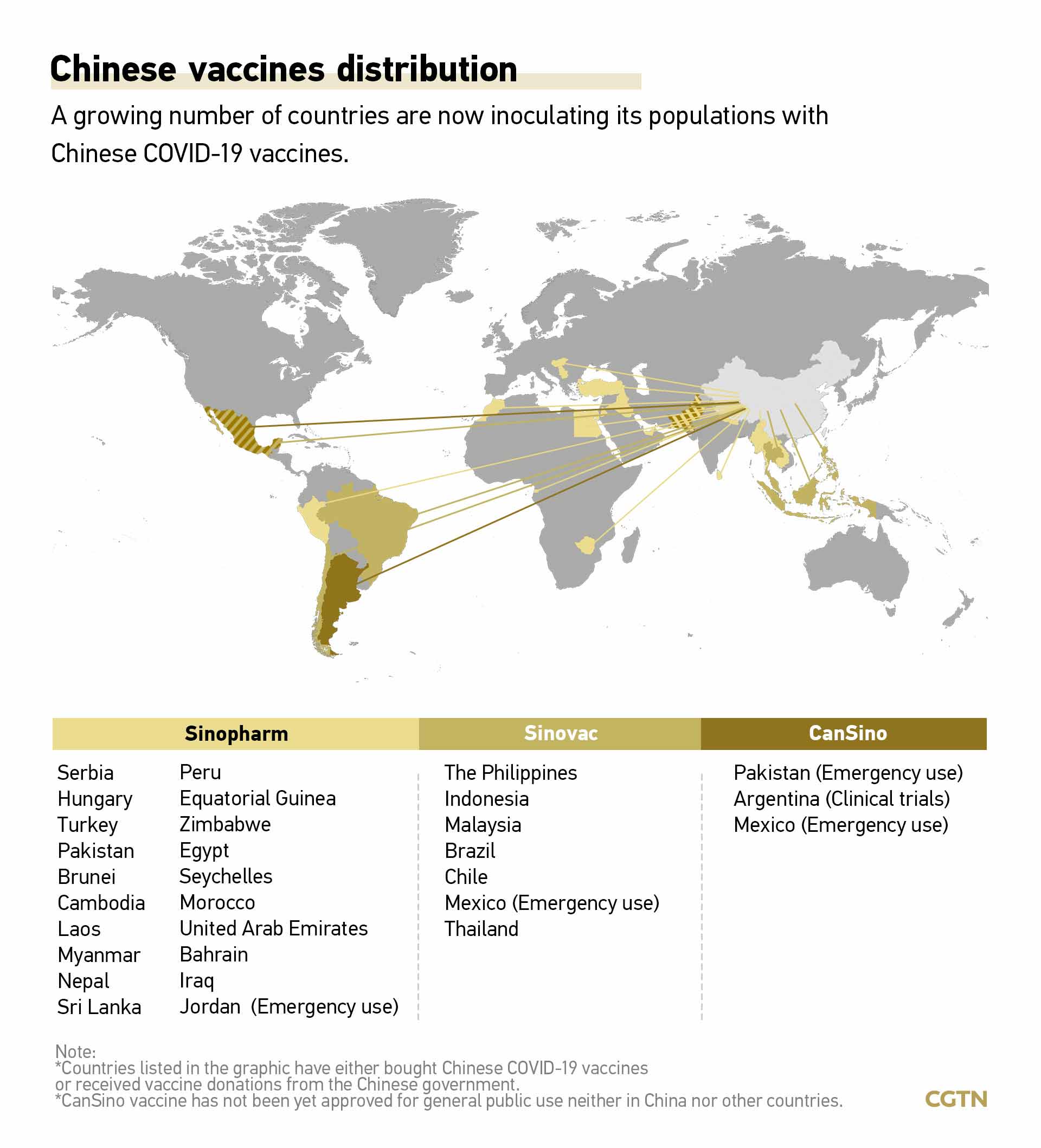 Wang Yi: World should reject vaccine nationalism, promote equitable distribution of vaccines