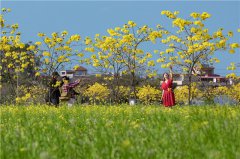 Guangzhou sees over ten million tourists during CNY holiday