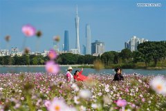  Guangdong invites HK, Macao urban planners