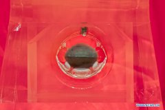 China national museum to exhibit lunar samples