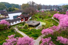 Wuhan has a plum of a tourist attraction