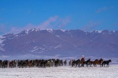 Bureau releases short video series titled 'True Stories from Xinjiang, China'