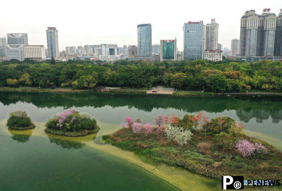 In pics: blooming flowers on small islands in middle of Nanhu Lake in Nanning